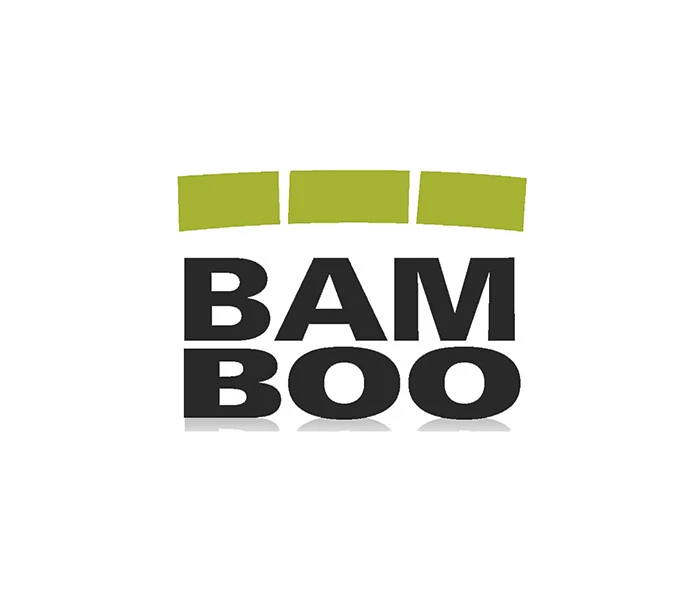 Bamboo Kung Fu